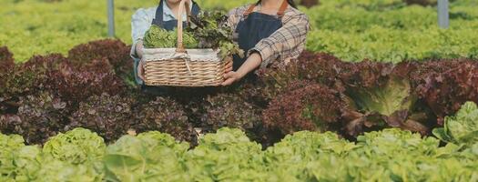 Woman gardener inspects quality of green oak lettuce in greenhouse gardening. Female Asian horticulture farmer cultivate healthy nutrition organic salad vegetables in hydroponic agribusiness farm. photo