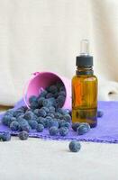 Blueberry seed oil photo