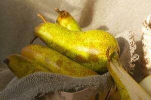 Green pears on a sackcloth photo