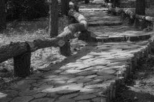 Park wooden path photo