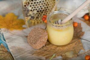 Rowan berries, glass with honey and honeycomb on a sackcloth. . photo