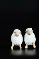 Two white lambs on a black surface. photo