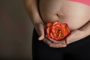 Young pregnant woman keeps natural rose blossom close to her belly. photo