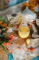 Rowan berries, glass with honey and honeycomb on a sackcloth. . photo