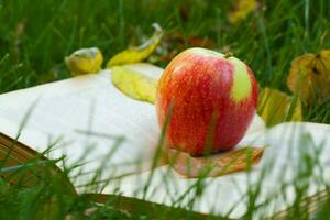 Book and a red apple on a green grass. photo