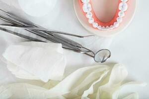 Teeth and jaw model. Closeup photo