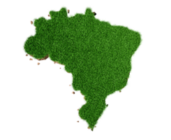 Top View Brazil Map Grass and ground texture 3d illustration png