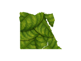 Egypte carte fabriqué de vert feuilles, concept écologie carte vert feuille png