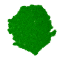 sierra leona mapa suelo tierra geología sección transversal con hierba verde y roca suelo textura 3d ilustración png