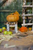 Orange pumpkin on a handmade chair. Closeup photo