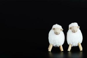 Two white lambs on a black surface. photo