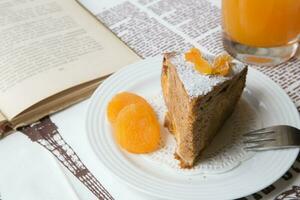 A piece of homemade apricot pie on the white plate photo