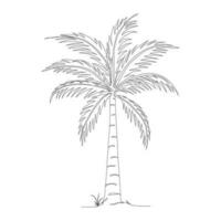 Coconut tree line art drawing. Single continuous line drawing of coconut palm tree. Decorative coconut palm tree concept. Coconut tree modern one line drawing vector illustration. Vector illustration