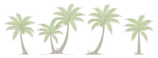 Coconut tree line art drawing collection. Single continuous line drawing of coconut palm tree set. Set of decorative coconut palm tree concept. Coconut tree modern one line drawing vector illustration