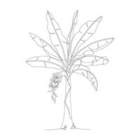 One continuous line drawing of banana tree. Banana tree line art drawing. Tropical concept of banana tree vector illustration. Banana tree icon in one line drawing. Vector illustration