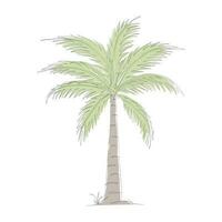 Coconut tree line art drawing. Single continuous line drawing of coconut palm tree. Decorative coconut palm tree concept. Coconut tree modern one line drawing vector illustration. Vector illustration