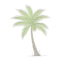 Coconut tree line art drawing. Single continuous line drawing of coconut palm tree. Decorative coconut palm tree concept. Coconut tree modern one line drawing vector illustration. Vector illustration
