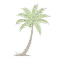 Coconut tree line art drawing. Single continuous line drawing of coconut palm tree. Decorative coconut palm tree concept. Coconut tree modern one line drawing vector illustration. Vector illustration