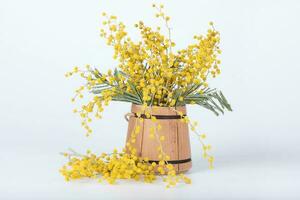 Mimosa flowers on a wooden surface., Mimosa flowers in a wooden mini bucket. photo