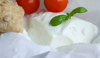Italian cheese - stracchino with basel leaves. Closeup photo