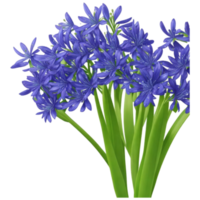 usuario agapanthus Foto ai generado png