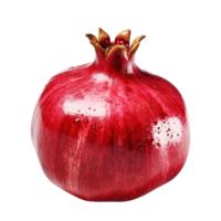 Pomegranate Punica granatum pomegranate png transparent background