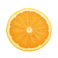 Slice of Orange fresh orange png orange transparent background