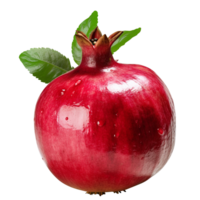 granaatappel punica granatum granaatappel PNG transparant achtergrond