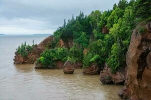 Bay of Fundy photo