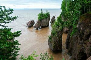 Bay of Fundy photo