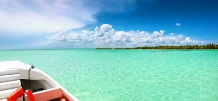 Tropical island with palms and beach panorama as background photo