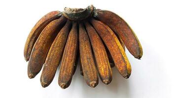 plátano Fruta en un blanco antecedentes. en Indonesia esta tipo de plátano es llamado medan plátano o pisang barangán, pisang medan foto