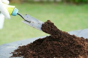 musgo de turba, suelo fertilizante para agricultura orgánica, cultivo de plantas, concepto ecológico. foto