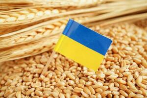 Ucrania bandera en grano trigo, comercio exportar y economía concepto. foto