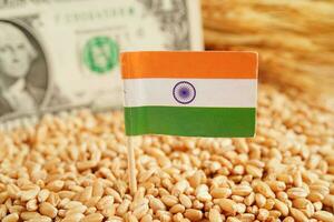 India flag on grain wheat, trade export and economy concept. photo