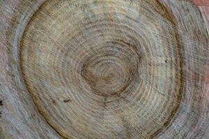 hermosa fractura de madera de roble viejo, textura natural de cerca foto