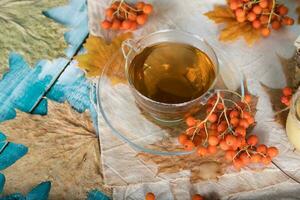 Glass cup with rowan berries, honey and honeycomb on a sackcloth. photo
