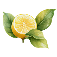 aquarelle citron, ai génératif png