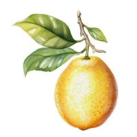 watercolor lemon, AI Generative png