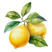 vattenfärg citron, ai generativ png