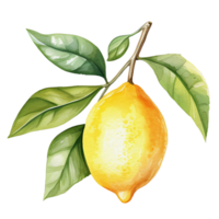 watercolor lemon, AI Generative png