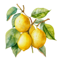 vattenfärg citron, ai generativ png