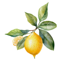 watercolor lemon, AI Generative png