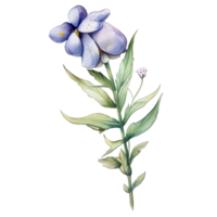 aguarela flores silvestres e borboletas, ai generativo png