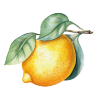 vattenfärg citron, ai generativ png