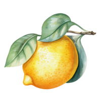 acquerello Limone, ai generativo png