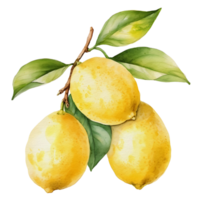 vattenfärg citron, ai generativ png