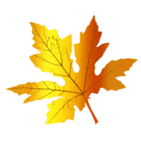 maple leaf shape png