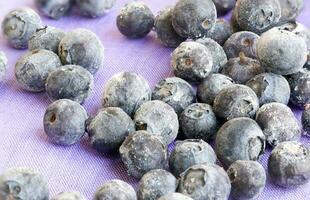 Blueberries in a pink bucket photo