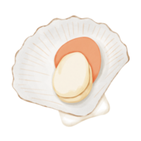 fresco pettine guscio. frutti di mare.il menù design elemento di un' pesce ristorante, mercato o negozio. png